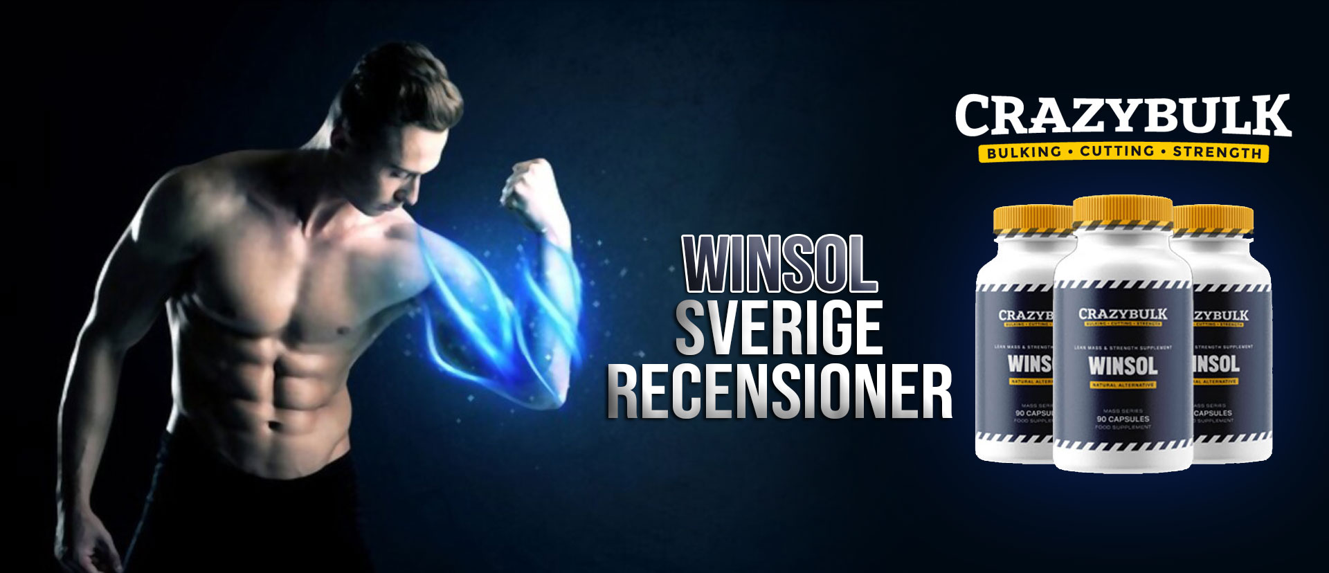 Winsol Sverige